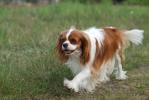 5 ROK - zdjęcie 39